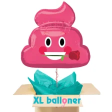 Send ballon Pink Poop