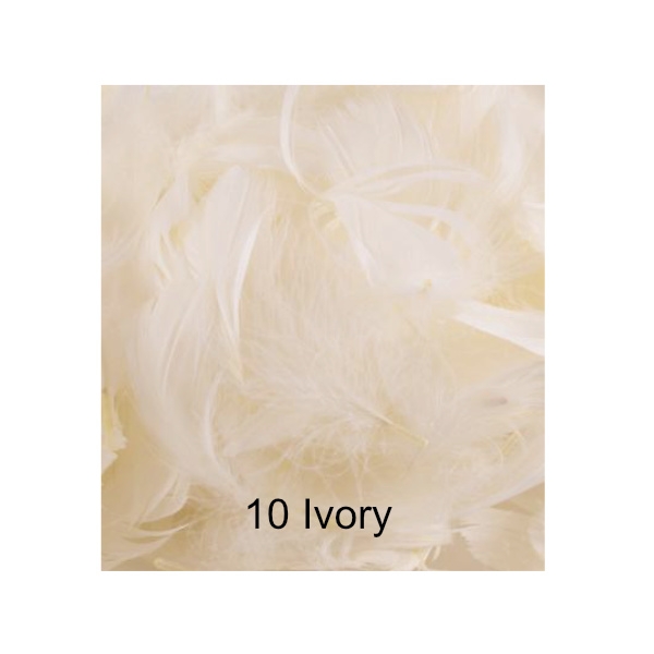 Ivory Fjer image-1