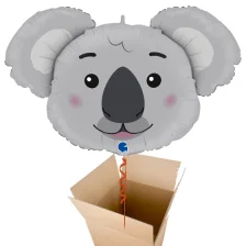 Send en ballon Koala