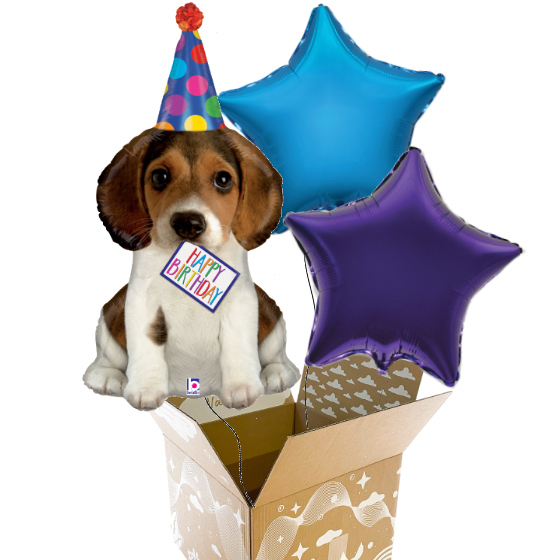 Send En Ballon Buket Happy Birthday Hund