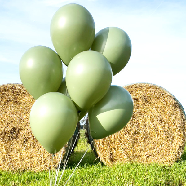 Fashion eukalyptus balloner 2 image-1