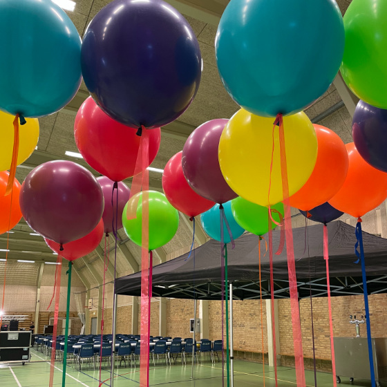 balloner til fest image-2