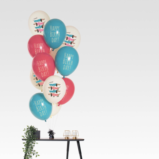 Ballon Buket KIT Til Fødselsdag Doggy image-0