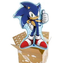 Send En Ballon Hilsen Sonic