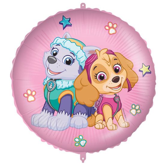 Folie Ballon Paw Patrol Skye Og Everest