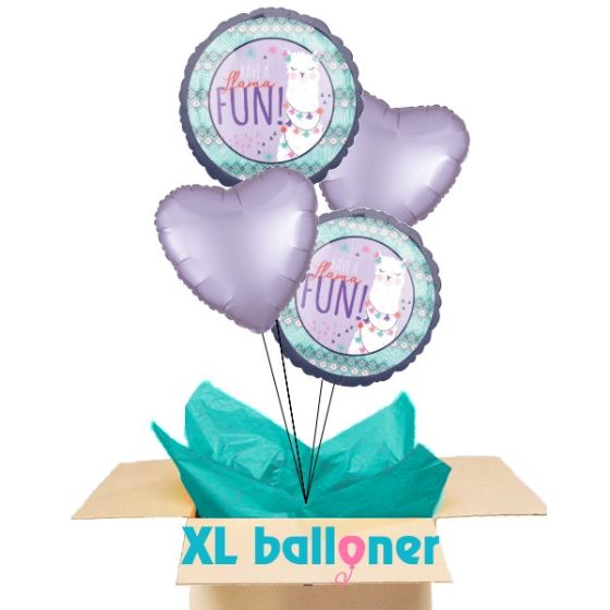 Send ballon buket Have a lama fun