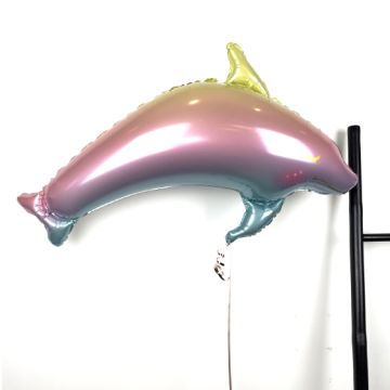 Send En Ballon Hilsen Delfin Regnbue