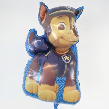 Send ballon gave Paw Patrol